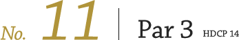 コース11